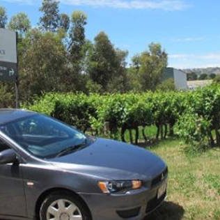 Adelaide Wineries