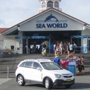 Sea World Gold Coast