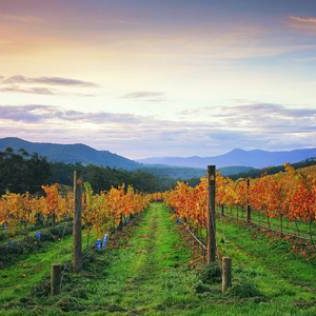 Need an Escape? Redspot Car Rentals Partners with Escape lounge
