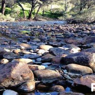 Weekend Travels: Walyunga National Park