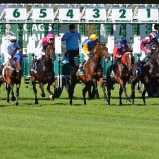 Spring Carnival