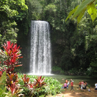 Milaa Milaa Falls Cairns