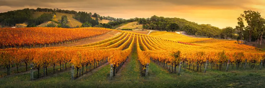 adelaide hills