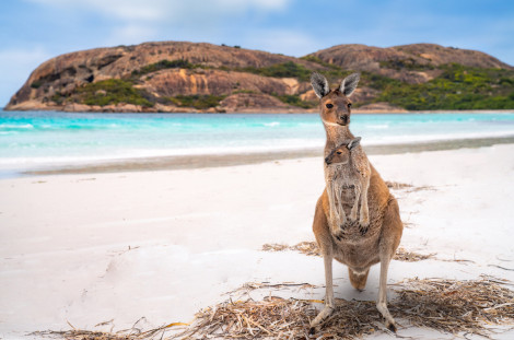 Lucky Bay