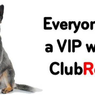 Club Red: VIP Car Hire