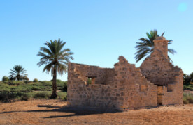 Witjira National Park