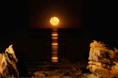 Staircase to the Moon