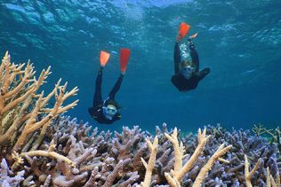 Scuba diving Great Barrier Reef