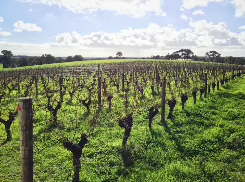 Margaret River