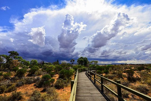 Australian Arid Lands Botanic Garden