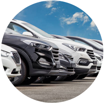 Multiple Vehicles