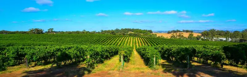 Slider background image