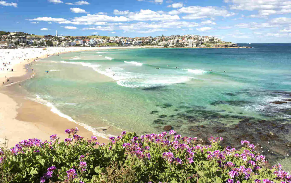 Bondi Beach