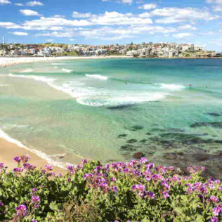 Bondi Beach