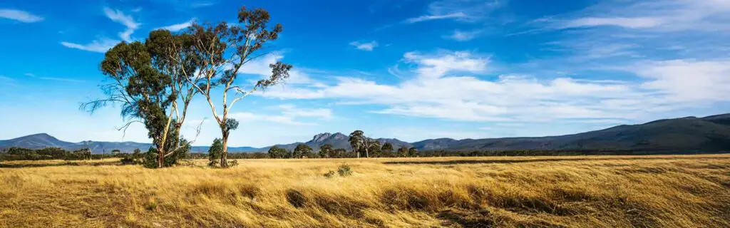 Bushland Grampian Mountains Victoria