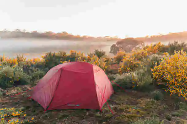 Barrington Tops National Park