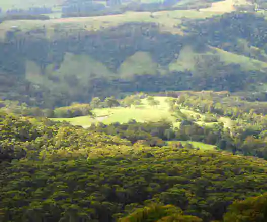 Kangaroo Valley