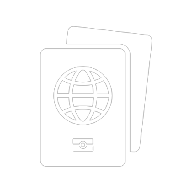 Overseas passport