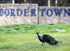 Bordertown SA