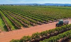 Griffith NSW